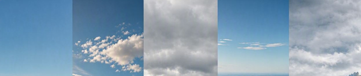 Page Banner